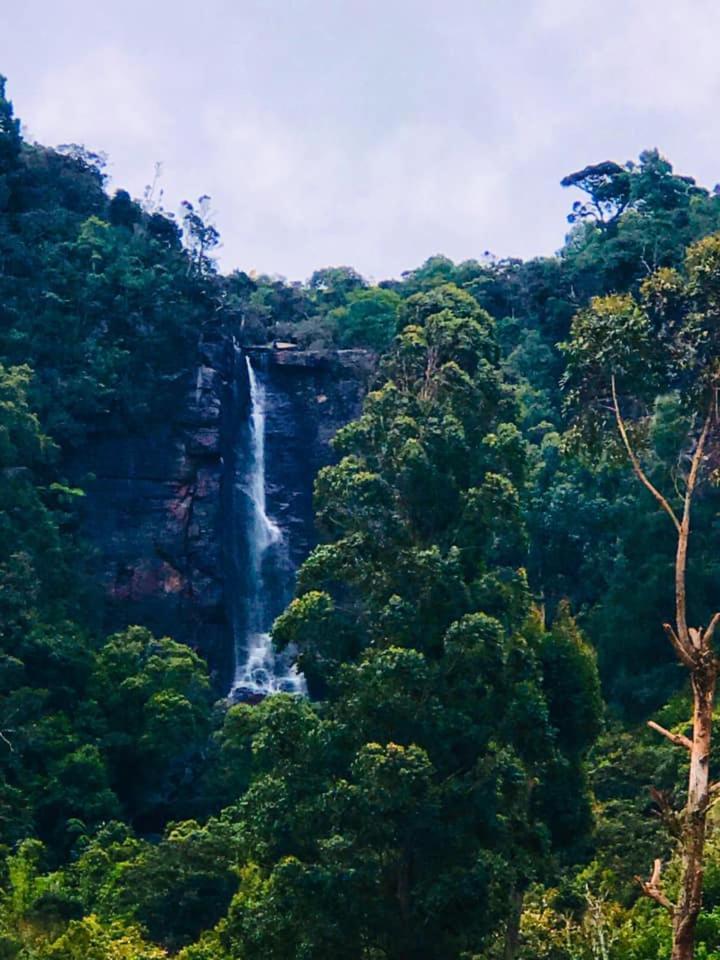 The Clovelly Bungalow Nuwara Eliya Dış mekan fotoğraf